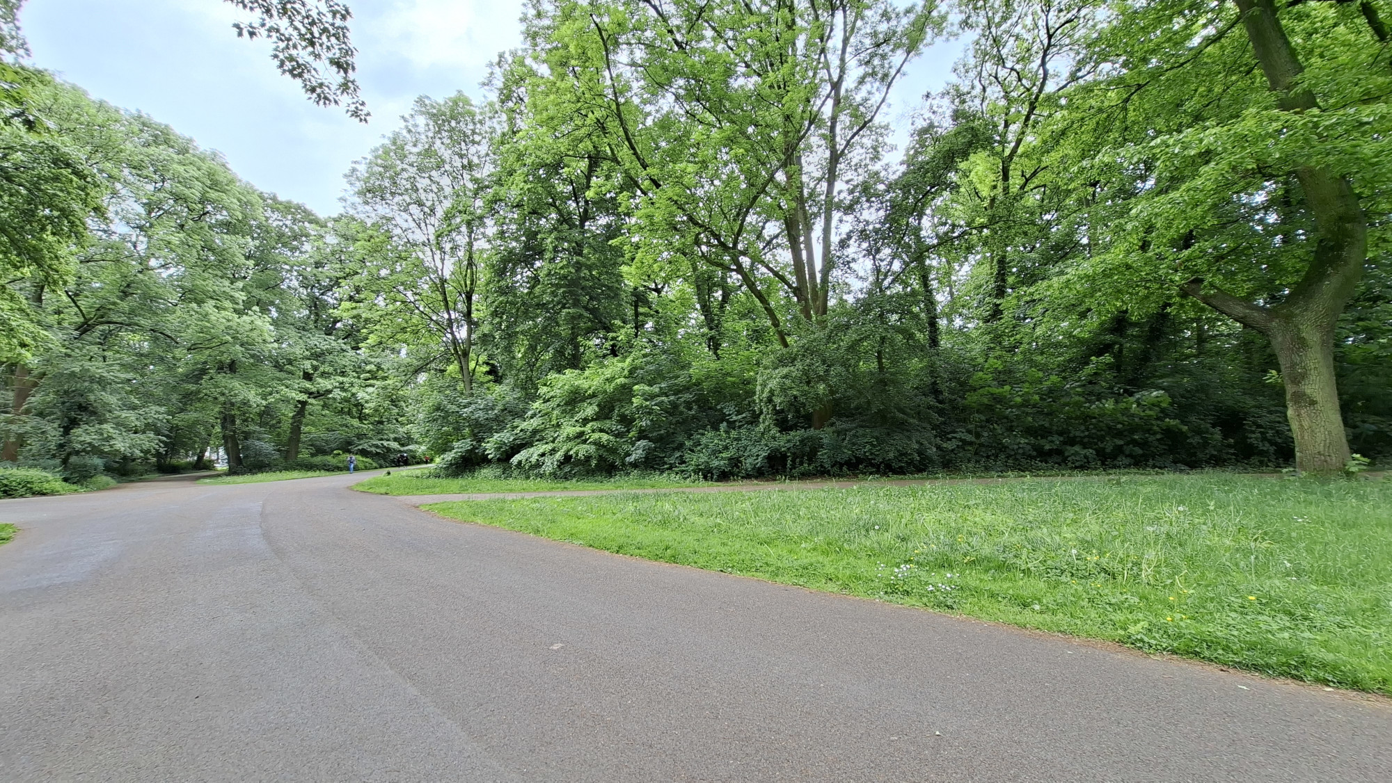 Stadtwald Braunsfeld Frühling